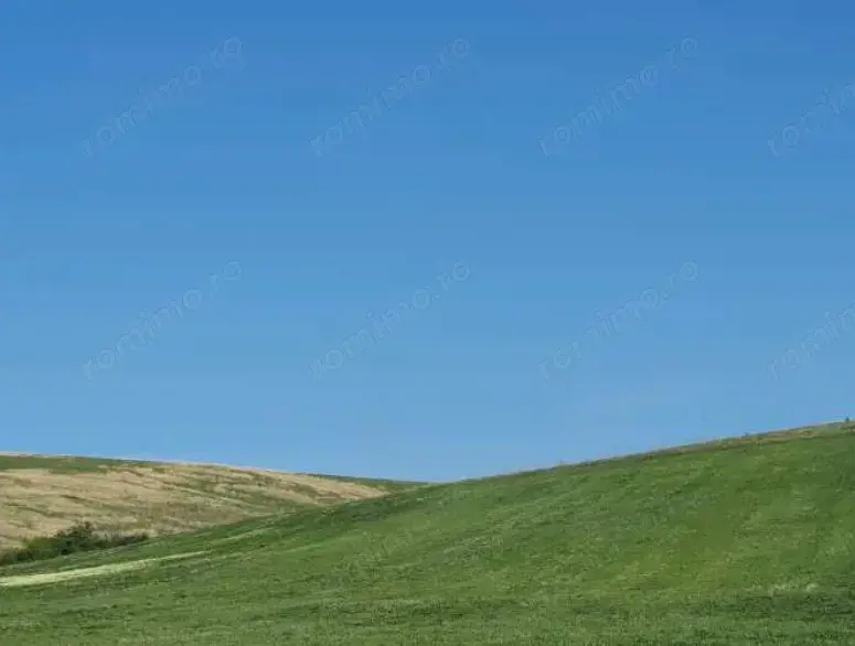 Cota de 1/2 din teren extravilan, comuna Rogova, Jud Mehedinti Cota de 1/2 din teren extravilan, comuna Rogova, Jud Mehedinti