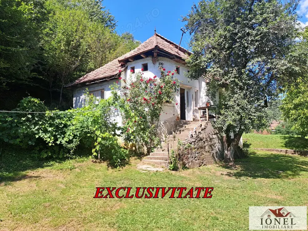 Casa de vanzare in zona Vintu cu 10.790 mp teren