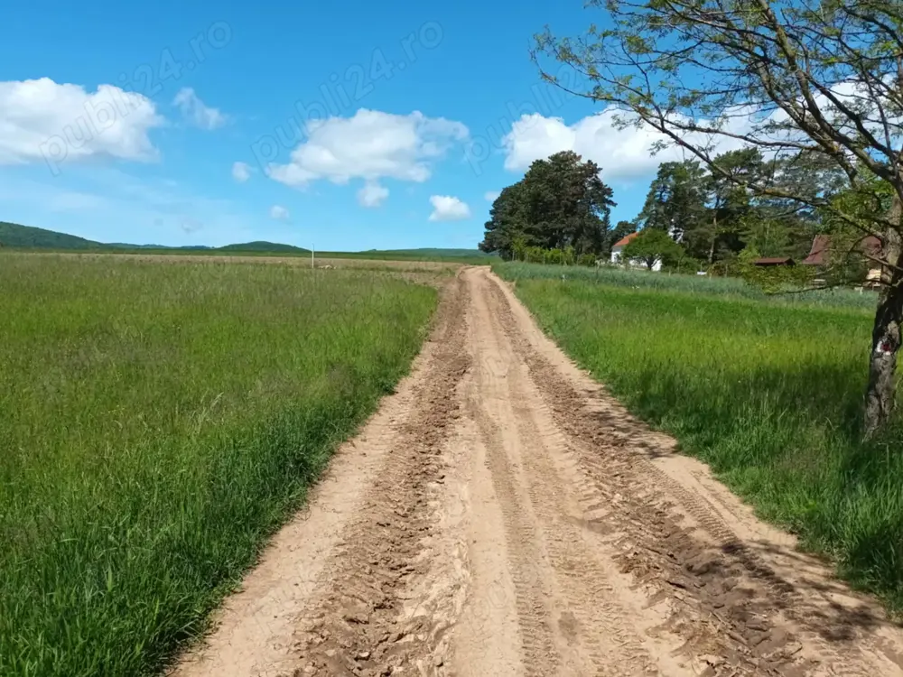 Teren extravilan 2200 mp Arcus -Valea Crisului