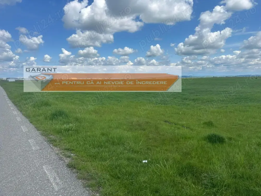 Teren Albota, excelent pentru investitii, suprafata 20000mp, front 98m