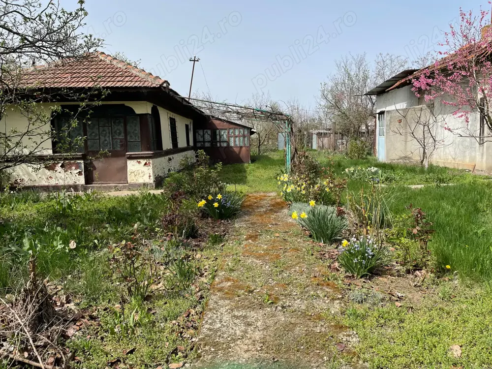 Vand 1644mp teren intravilan in sat Pasarea, comuna Frumusani, judetul Calarasi