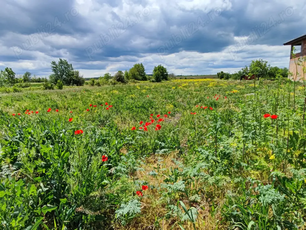 Teren intravilan Comuna Nanov, jud. Teleorman, 5.800 mp