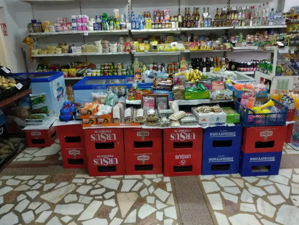 Spatiu Comercial 100 mp Triaj