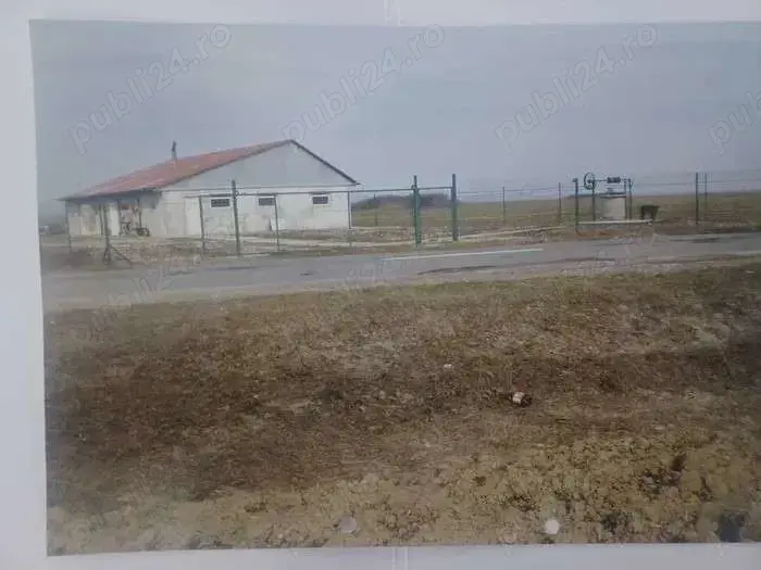 Teren 12500mp, intravilan 3000mp cu hala 216mp cu fundatie solida si extravilan 9500mp