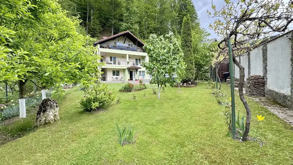 Casa De Vanzare Langa Padure