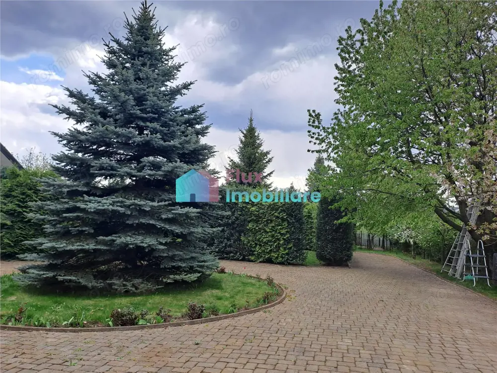 Teren intravilan 1000 mp in Scheia