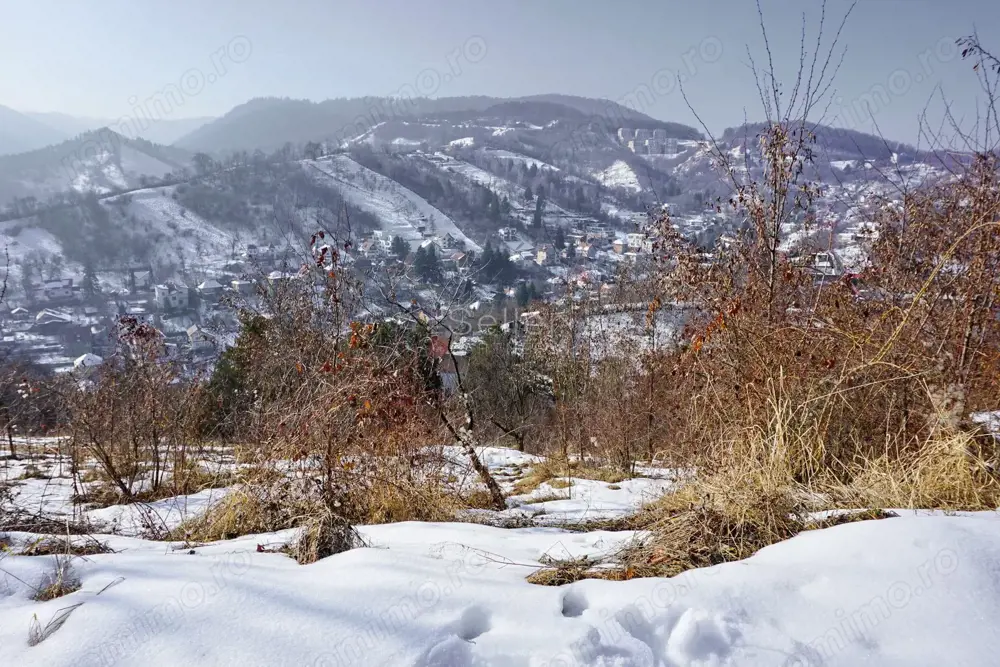 Teren Intravilan - Zona Drumul Poienii