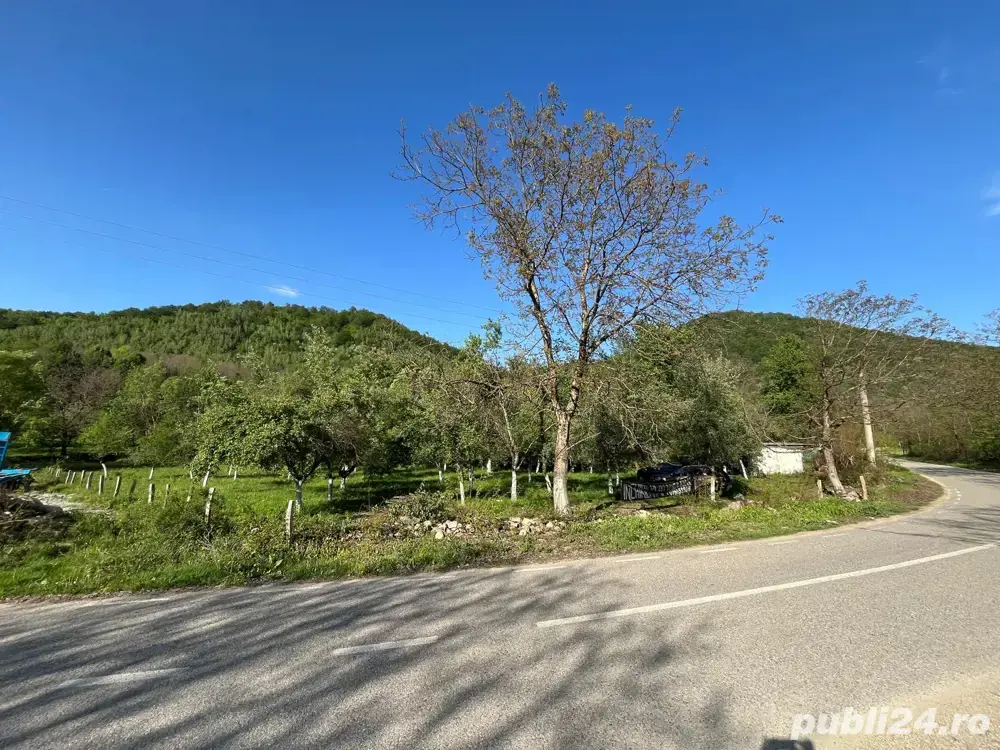 Teren de vanzare Borlova-Muntele Mic!!!
