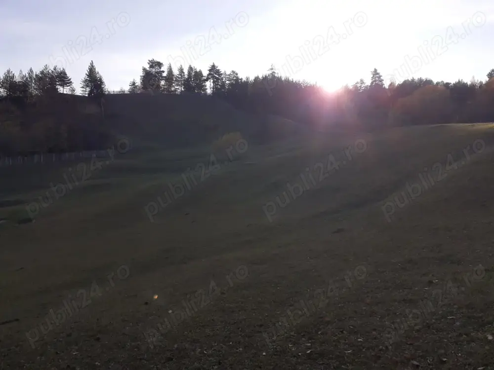 Teren intravilan in Nereju, Vrancea