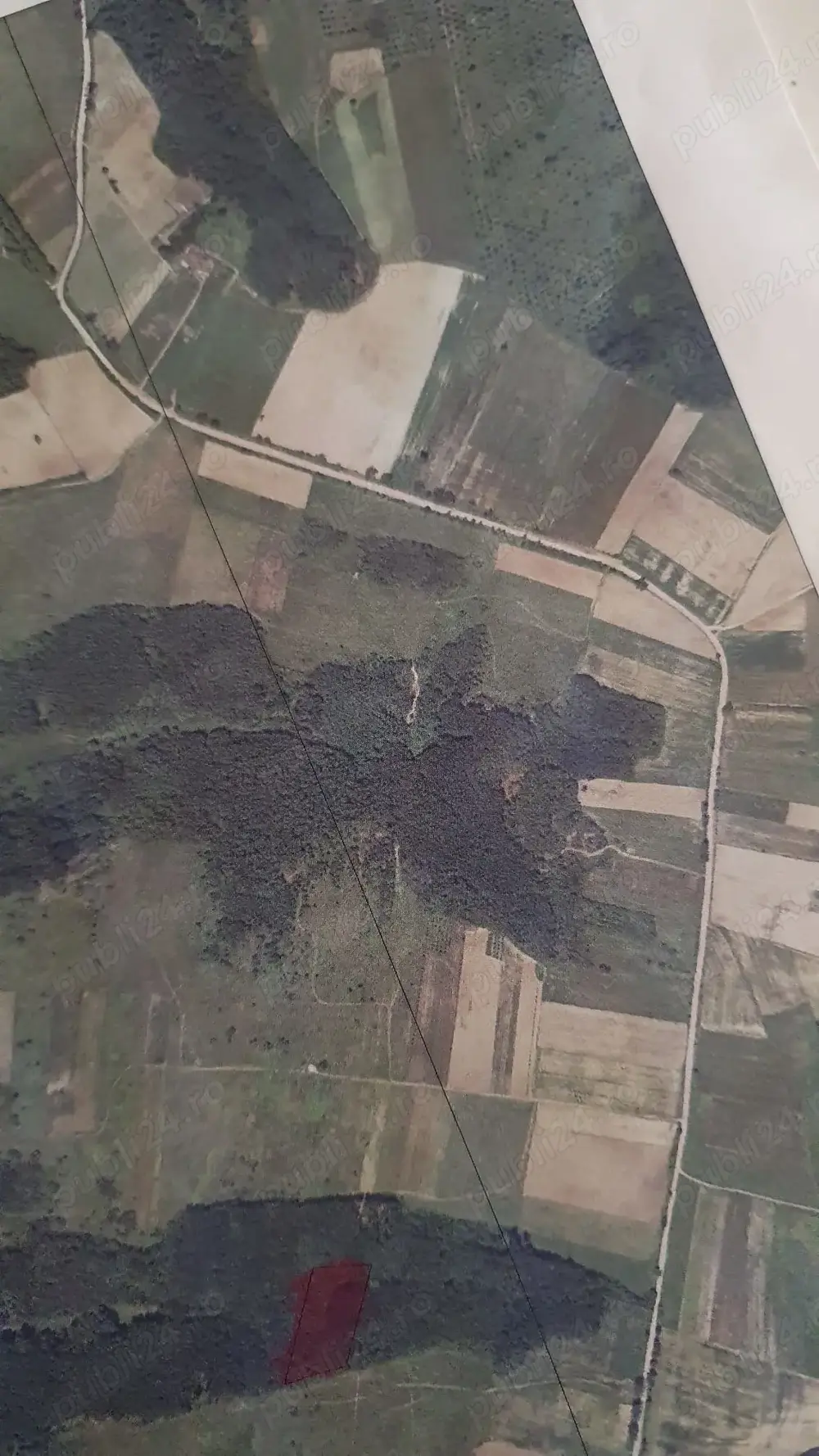 Vand 1 hectar padure intabulata delimitata zona visag com. victor vlad delamarina,timis