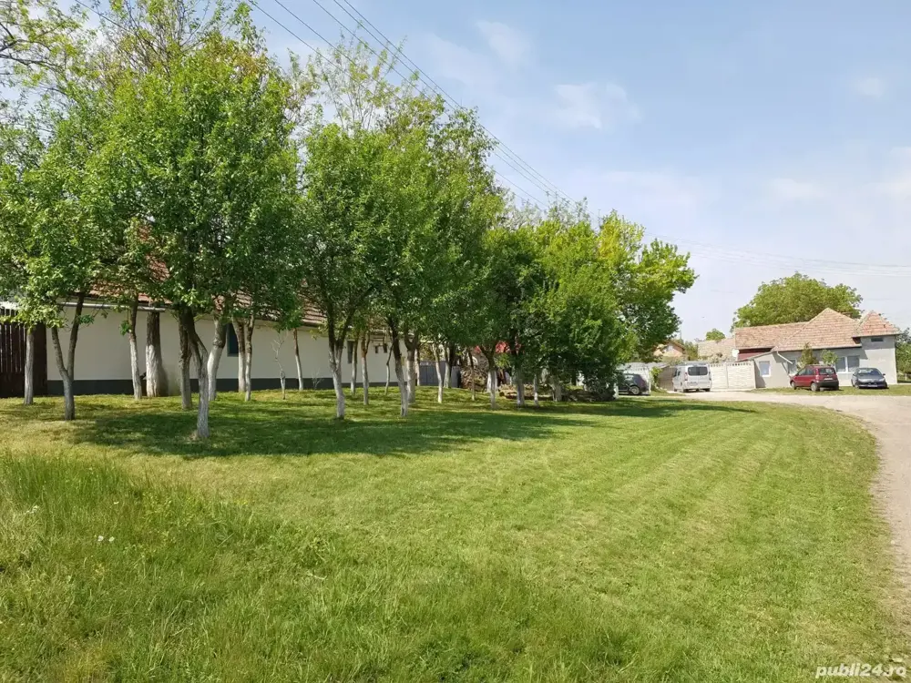 De vânzare casă Ortisoara 