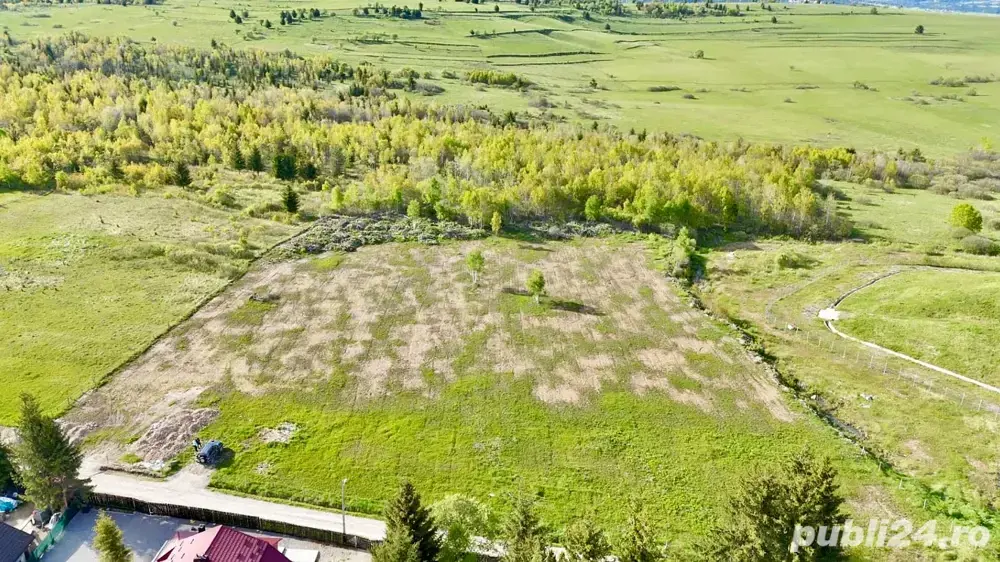 teren Toplita teren Toplita