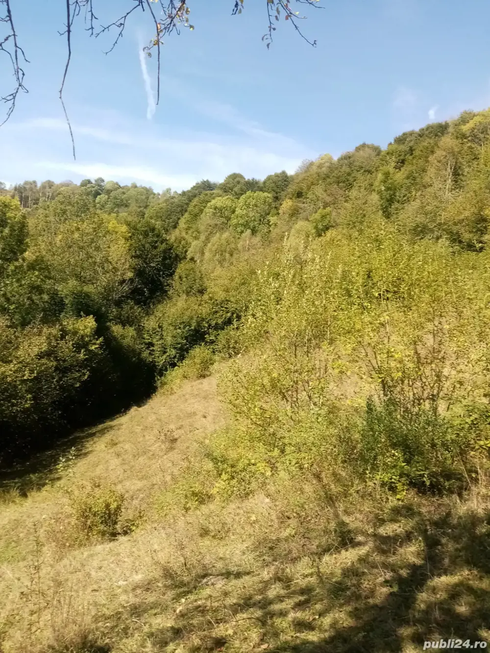 Teren extravilan de vanzare