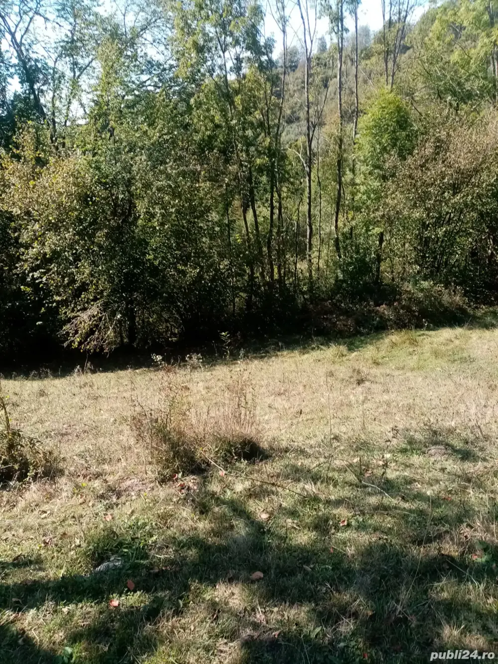 Teren extravilan de vanzare