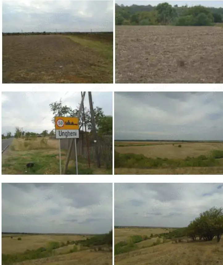 Teren extravilan 5000 mp, Com Ungheni, Jud Arges