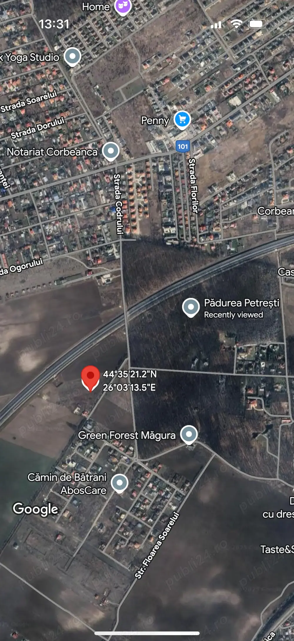  Teren intravilan 26.000 mp de vânzare în Corbeanca   Ilfov