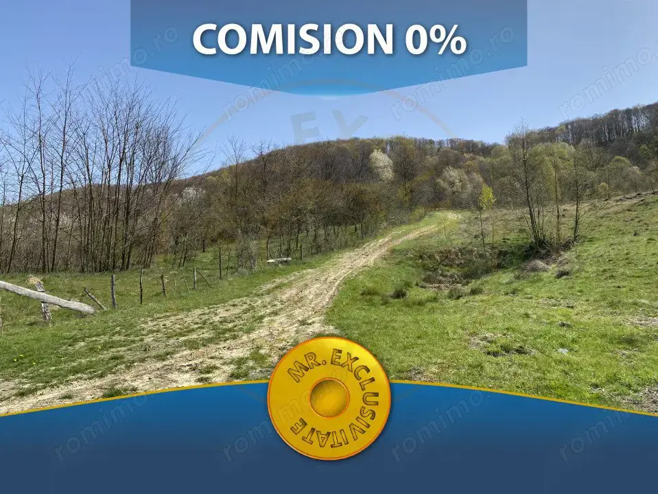 Teren 13.000 mp zona de deal - Aninoasa AG