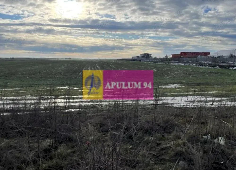 Teren Mihailesti- langa Dovinot. Teren Mihailesti- langa Dovinot.