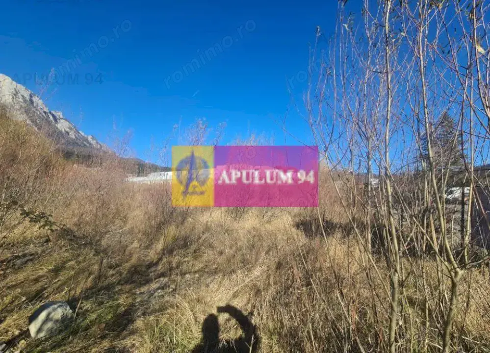 Teren intravilan de vânzare în Bușteni - Zona centrala