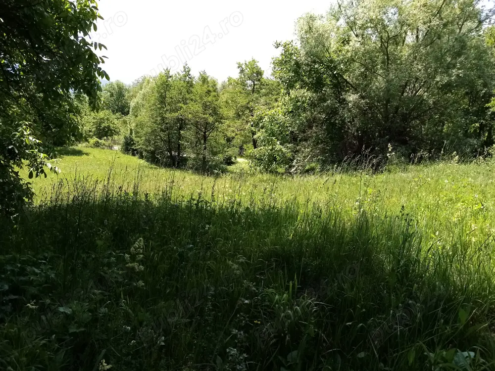 Teren com. Salatrucel, la 7 km de Calimanesti Caciulata