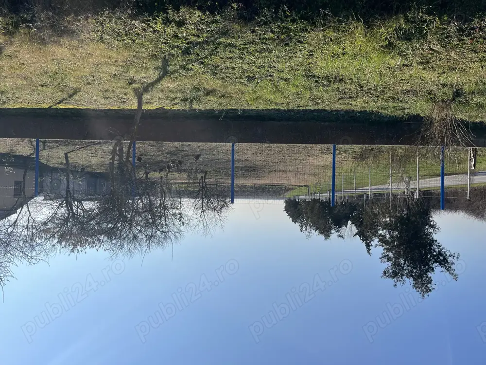 Teren Intravilan Sanmartinu Sârbesc