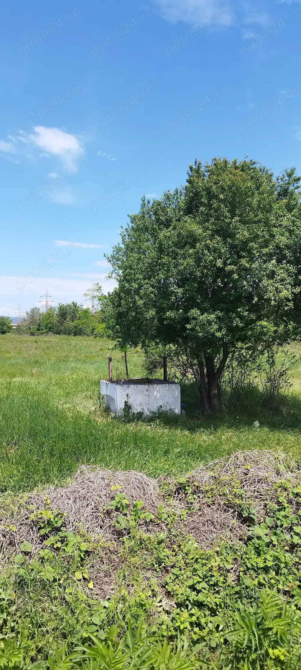 Închiriez 10.000 mp Halînga