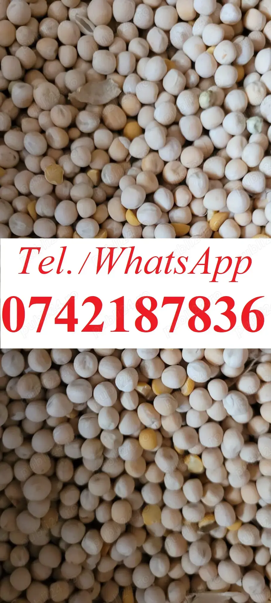 Mazăre furajera de toamna. 