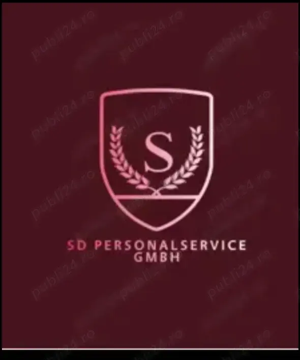 Electricieni pentru Germania  Electricieni pentru Germania