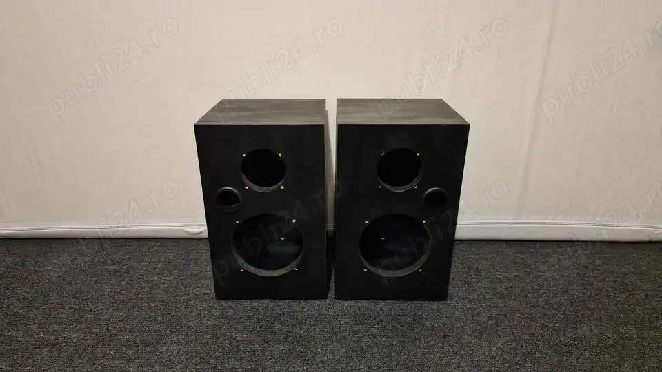 O pereche de boxe DIY cu bass reflex