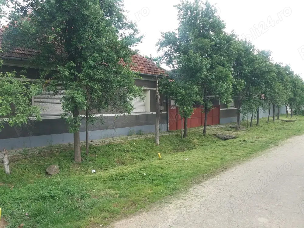 Casa și anexe, Cermei central, 2 curti, Front stradal 50 ML, 2880 mp