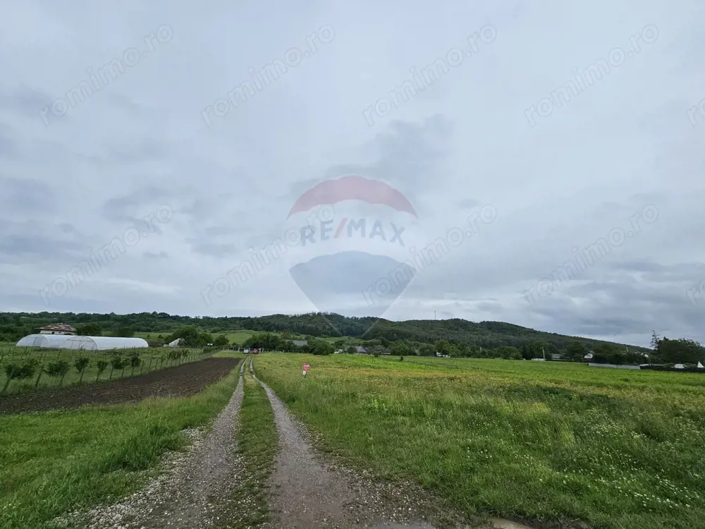 Teren 1,495mp Dobreni / Strada Parau Almas