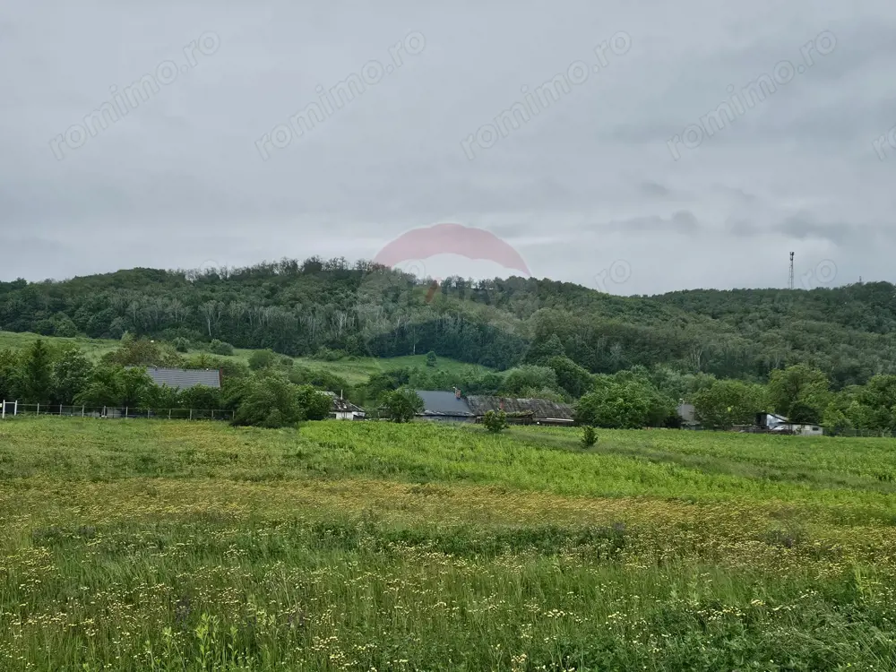 Teren 1,495mp Dobreni / Strada Parau Almas
