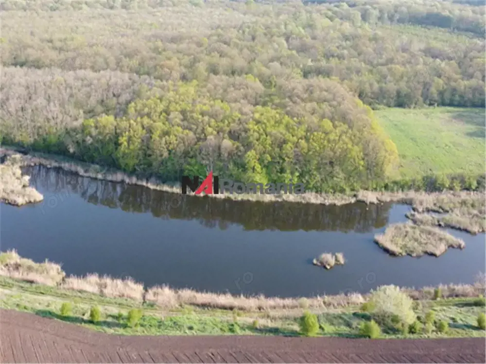 Vanzare Teren Central, Moara Vlasiei