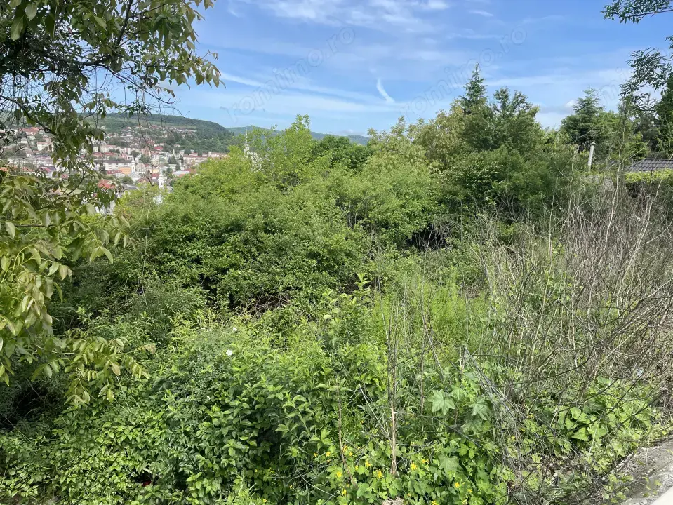 Teren intravilan de vanzare, 1952mp, Dealul Florilor