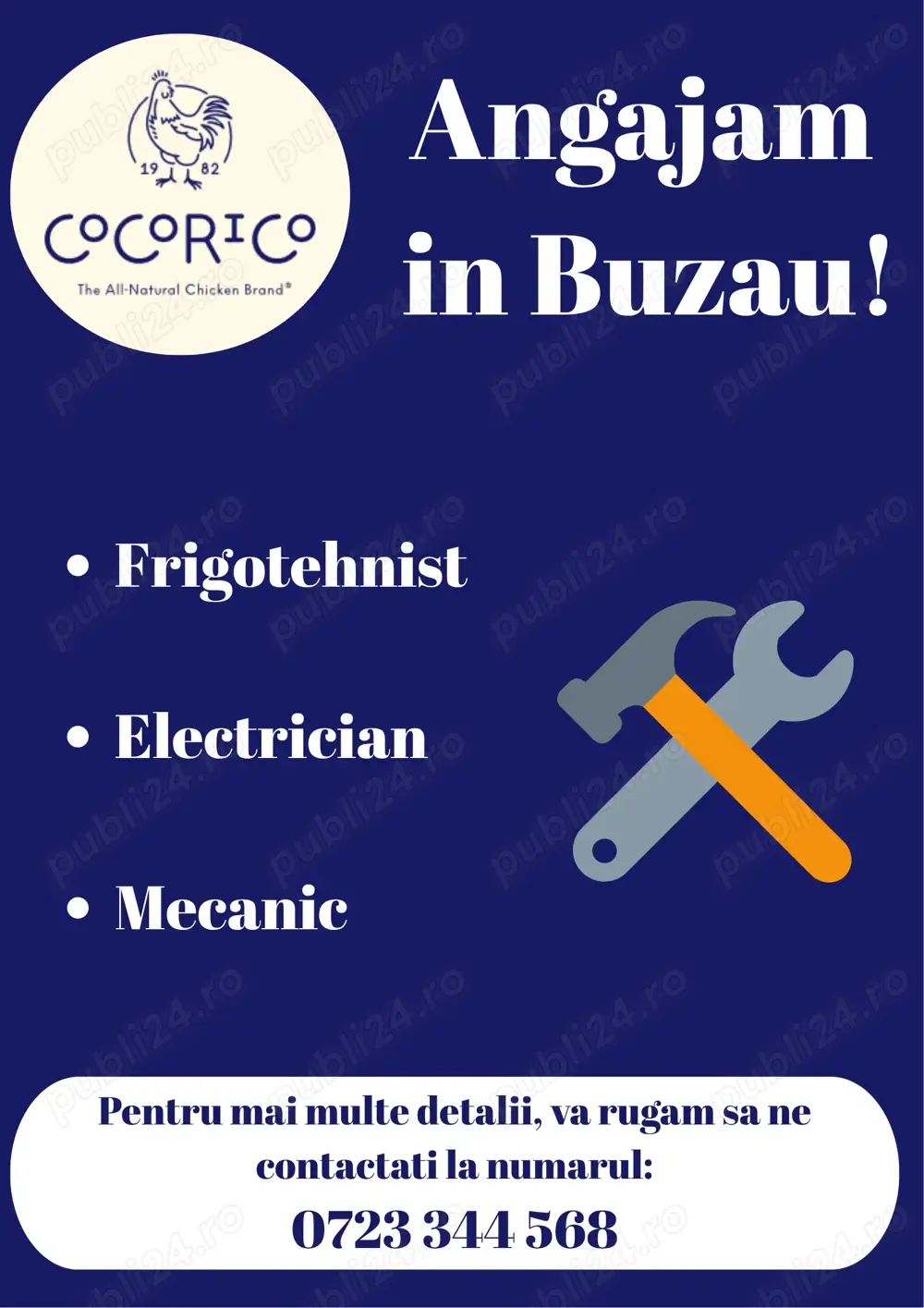 Angajam Personal Tehnic in Buzau