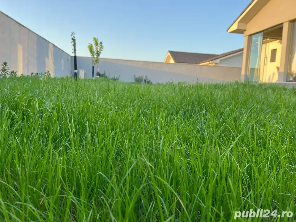 Oferim servicii de curatenie complete si intretinere gazon