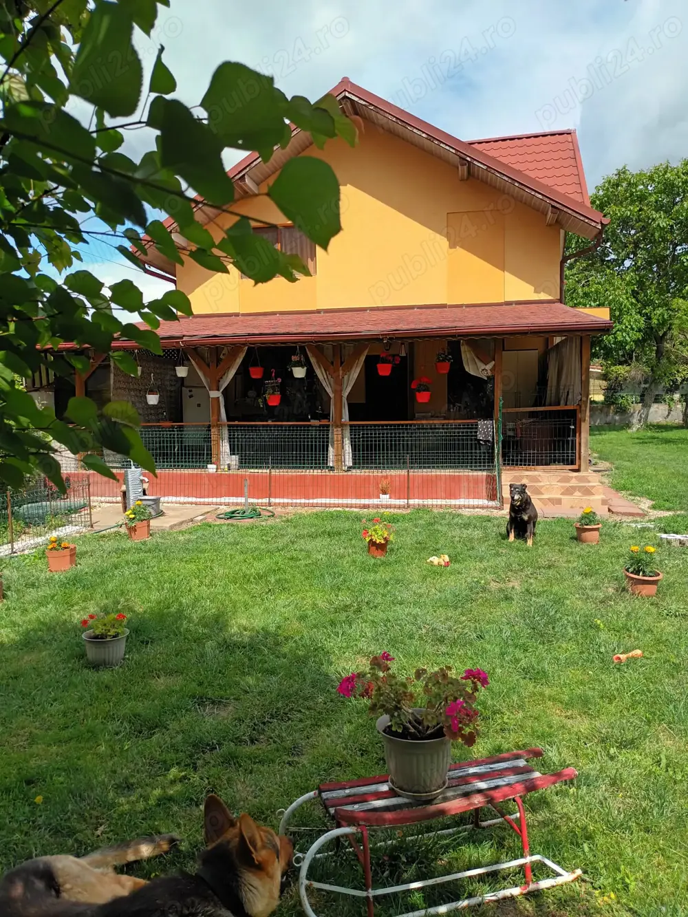 Casă cu etaj (P+1) gradina 736mp Casă cu etaj (P+1) gradina 736mp