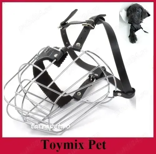 Botnita metalica caine Boxer Pibull Buldog - curelusa piele reglabila