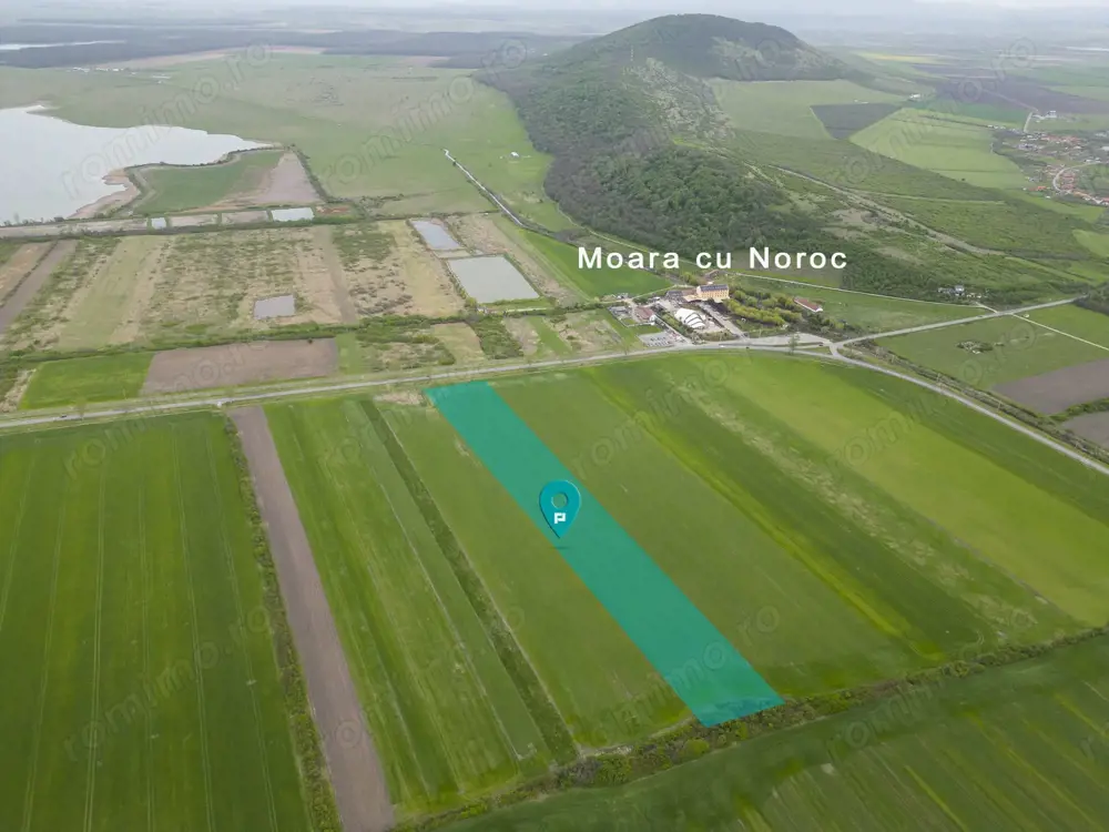 Teren extravilan de 22500mp Zona Ineu