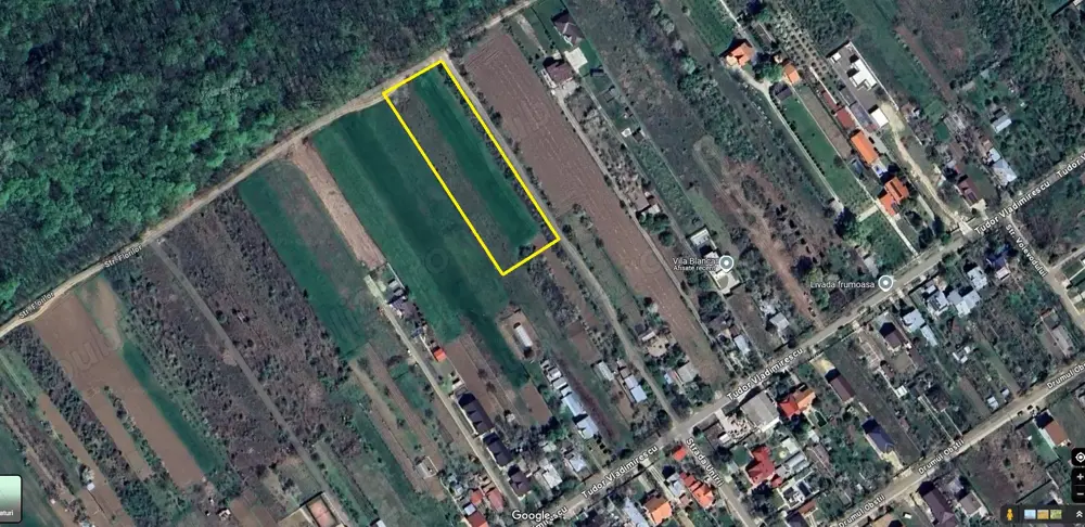 Teren langa padurea de la Ordoreanu, Clinceni