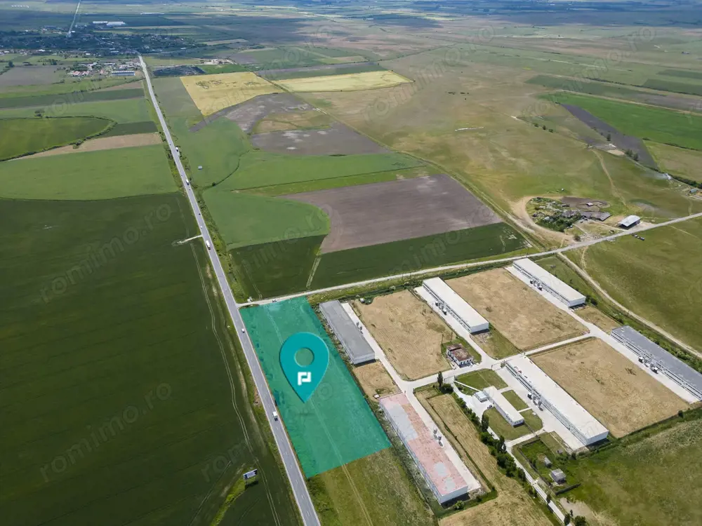 Teren Intravilan Investiții 11.600 mp Salonta Teren Intravilan Investiții 11.600 mp Salonta