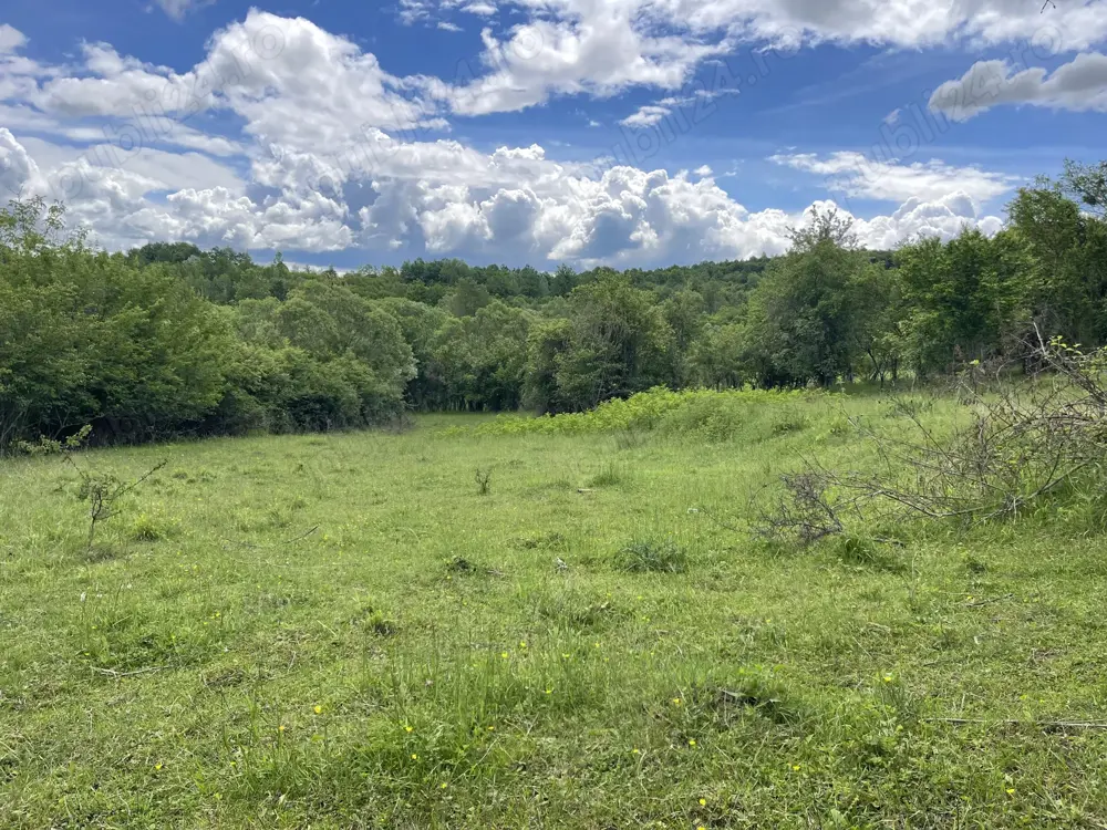 Teren intravilan , teren livadă lângă Băile Govora în  Mihaesti, Babeni, Budesti