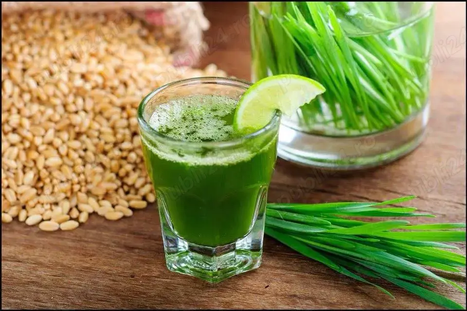 Angajam Tehnician in industria alimentara