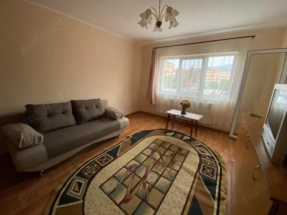 Garsoniera in Cetate Garsoniera in Cetate