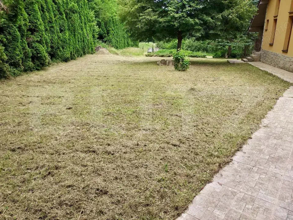 Casă de Vacanță pe Valea Ighielului – 3 camere, 2500 mp curte