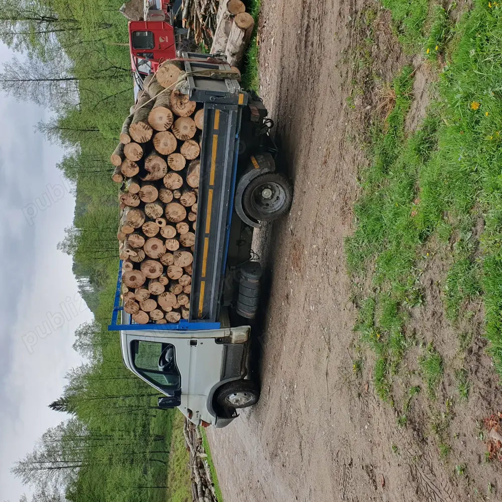 Lemn de foc la preturi bune