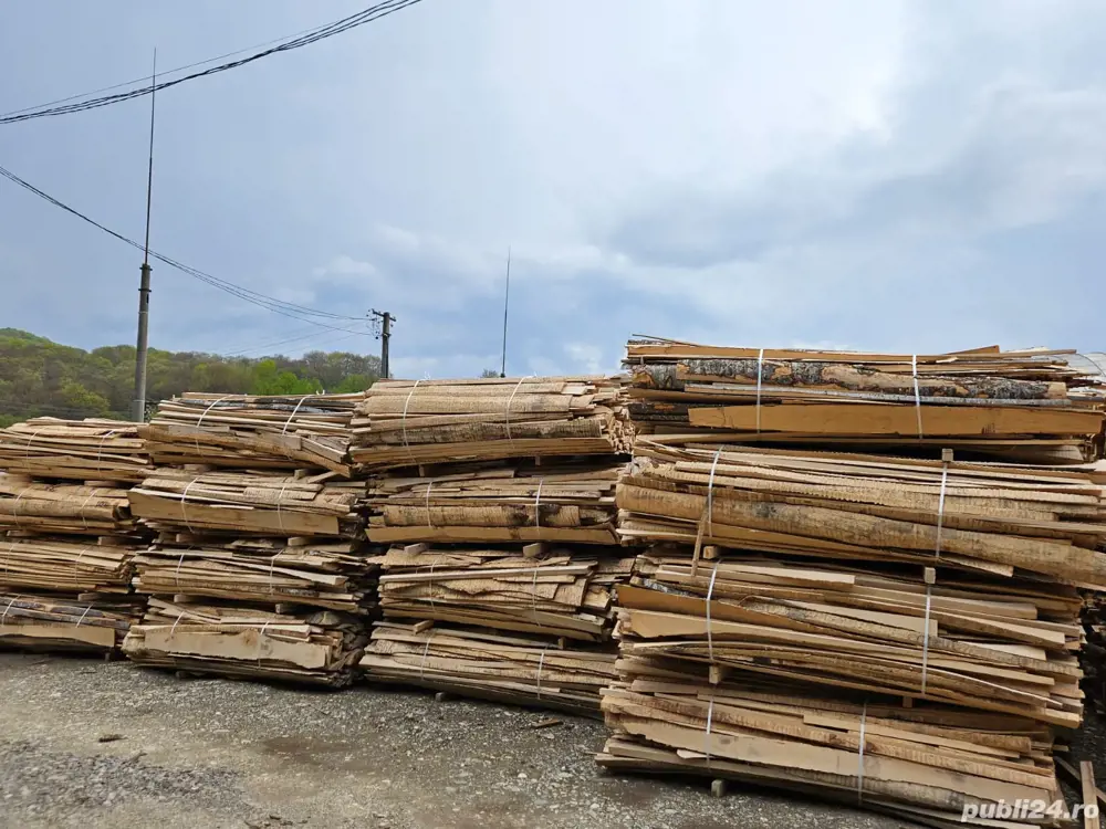 lemn de foc esență tare fag la preț de fabrica 