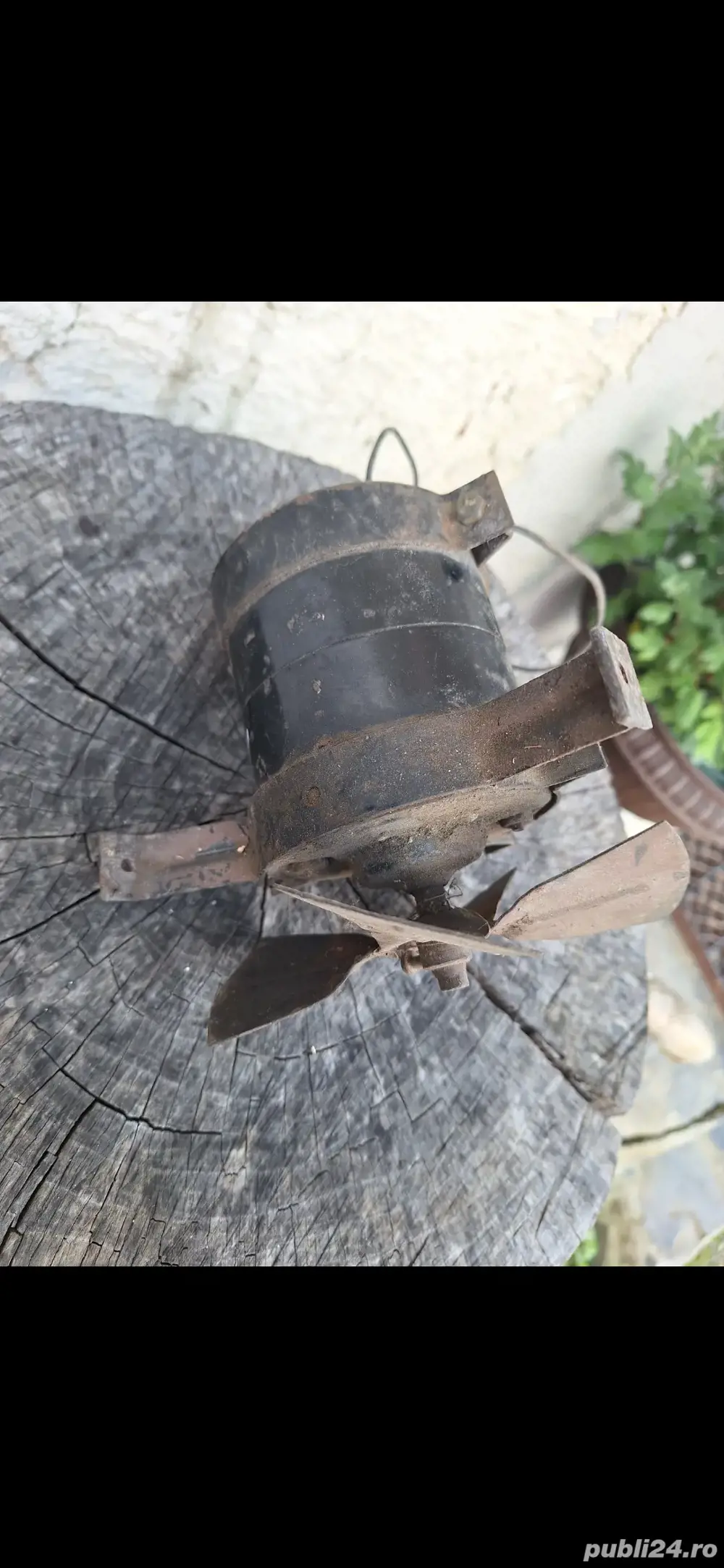 Motoraș electric 12v rsr dacia