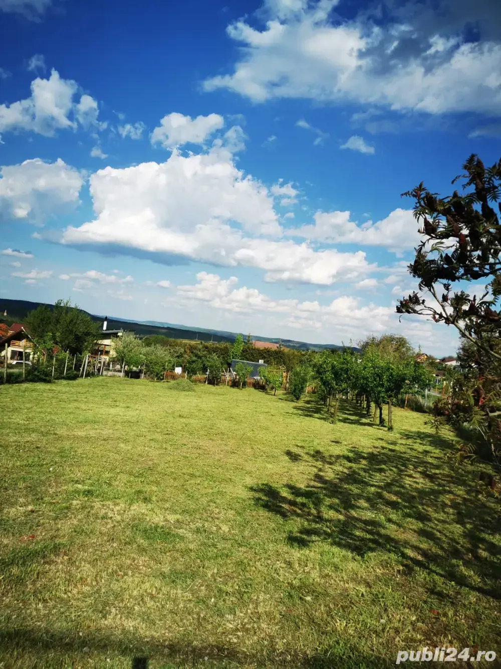 Teren intravilan Daia Noua 930mp - Poziție excelenta 