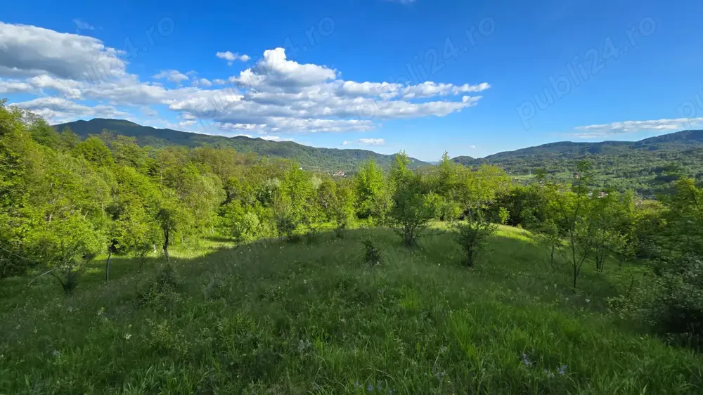 Vand teren la munte, Arges, Corbeni zona Cetatea Poenari Vlad Tepes, Baraj Vidraru